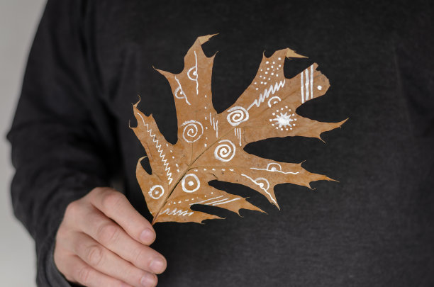 一个人拿着一片有白色图案的落叶。图片下载