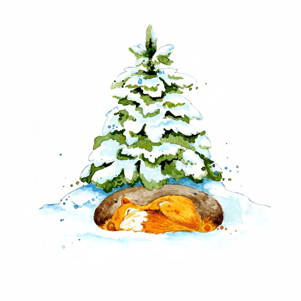 可爱的狐狸在洞里睡觉。图片下载