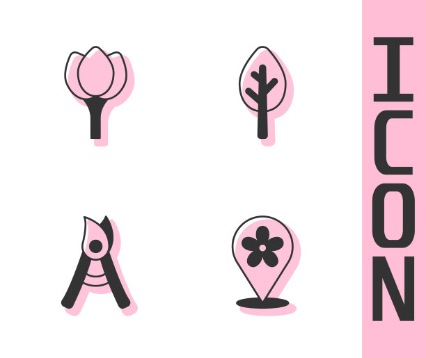 设置地点与花卉郁金香园艺花图片下载