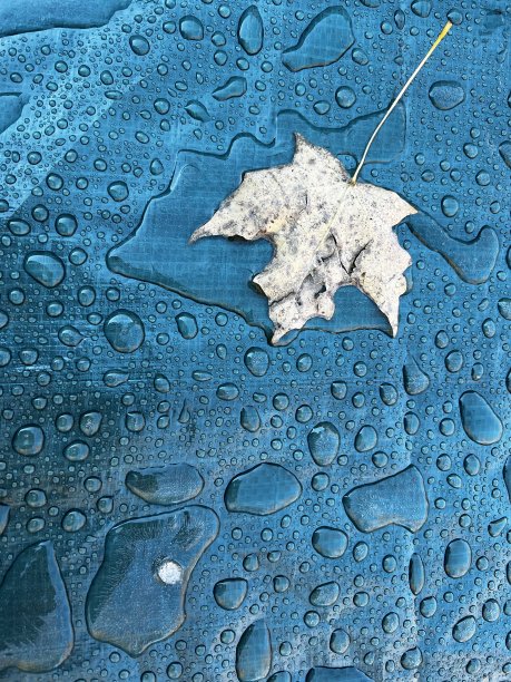 防水布上的水滴图片下载