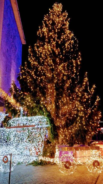 12月的夜晚，在户外点亮圣诞树图片下载