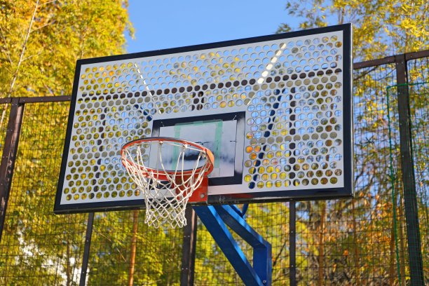 篮球的目标图片下载