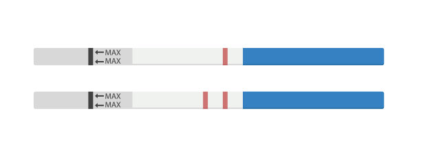 两个怀孕测试。妊娠试验阳性和阴性。图片下载