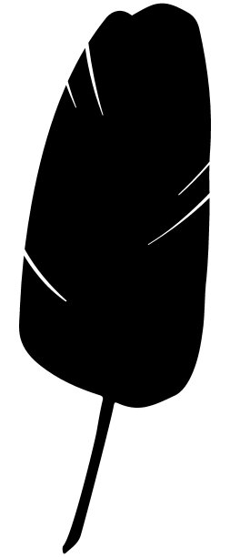 热带树叶，棕榈树，植物，花，香蕉植物，怪物。植物外来植物元素。图片下载