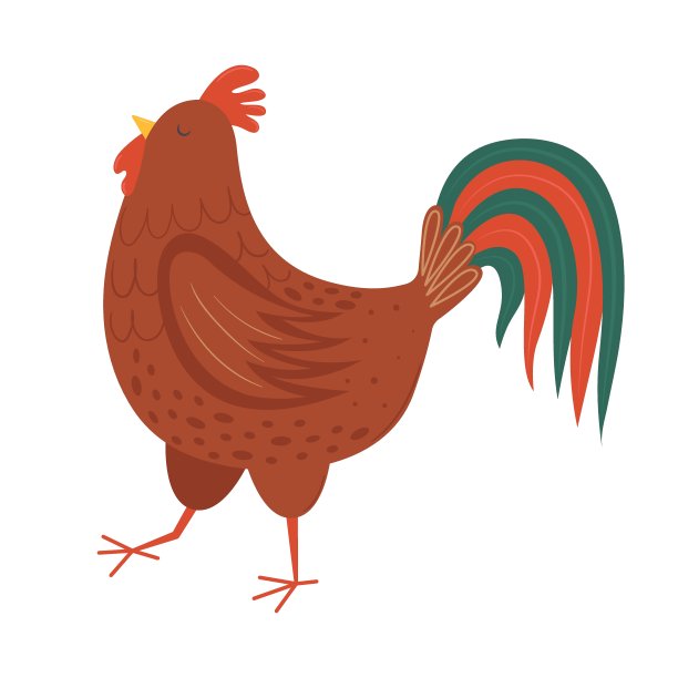 骄傲的公鸡行走平面矢量插图图片下载