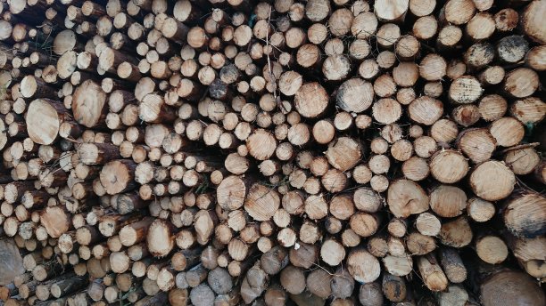 显示切割结束的原木堆图片下载