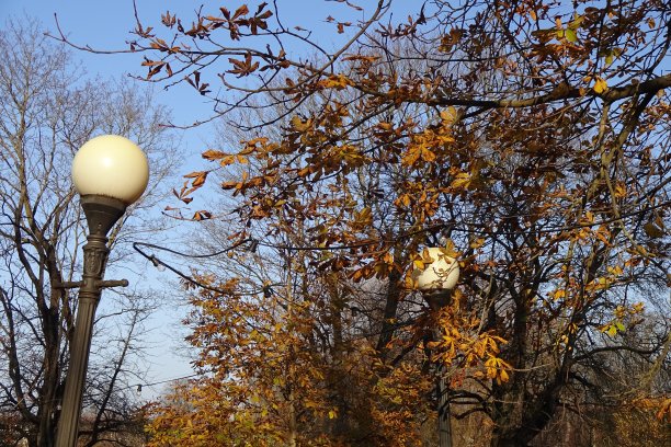 靠近圆形白色或象牙灯在一个晴朗的秋日，蓝色的天空与金黄色的枫叶。卡德鲁格公园，塔林，爱沙尼亚。2021年11月图片下载