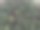 森林图片下载