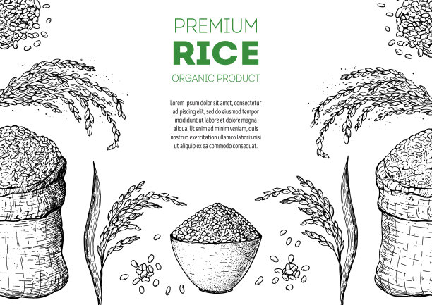 大米手绘矢量插图。一袋米速写。包装设计图片下载