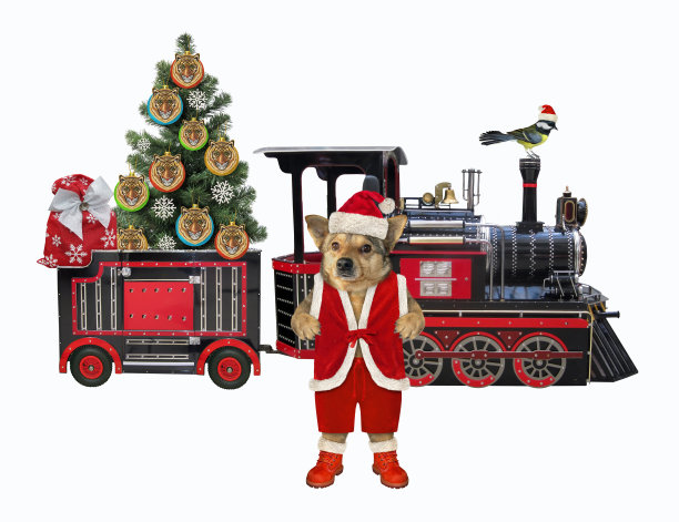 狗靠近火车和圣诞树图片下载