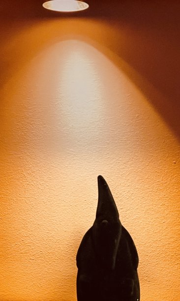 灯光下的黑色圣诞老人图片下载