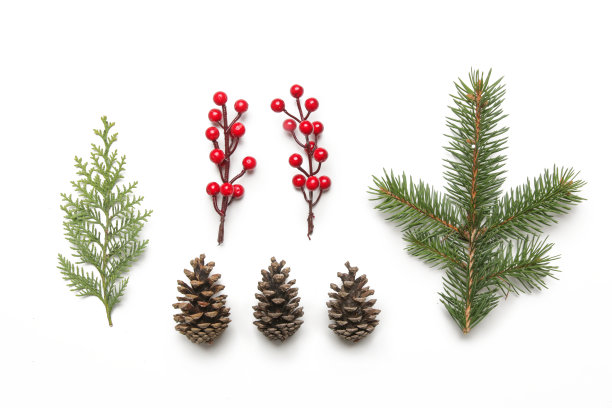 圣诞装饰设计元素孤立在白色背景上。圣诞节，寒假，新年概念。图片下载