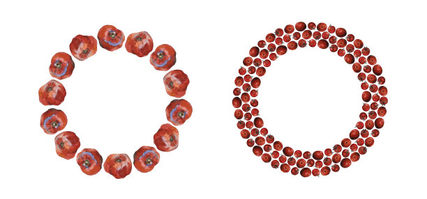 两个番茄花环图片下载