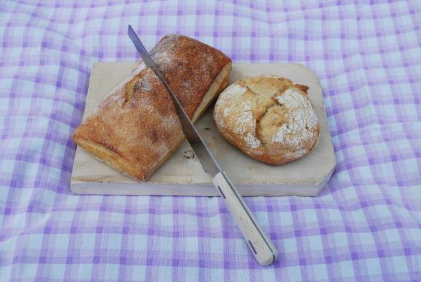 面包和桌布2图片下载