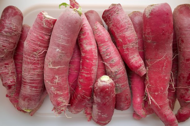 紫色的萝卜图片下载