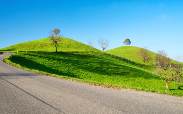 瑞士的乡村。树在山顶上。田野和牧场。夏季的农业景观。高分辨率的照片。图片下载