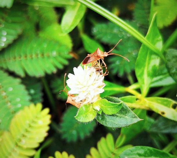 焦虑不安图片下载