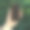 黑色的手机壳在一个男人手中模糊的绿色背景上模拟图片下载