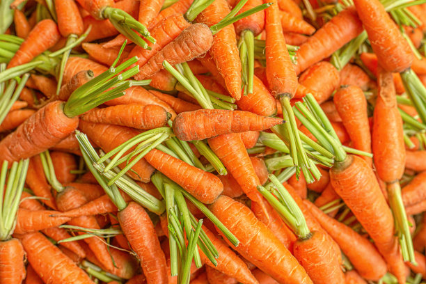 有绿叶的小胡萝卜背景图片下载