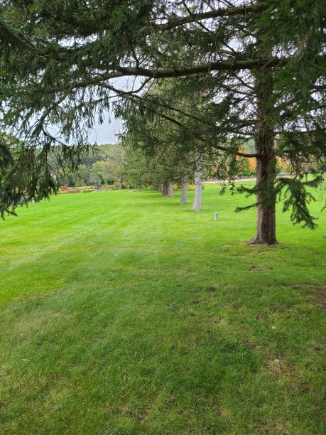 开放的行业图片下载