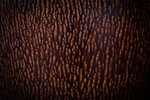 由深棕色液体沿浅棕色陶瓷表面流动而形成的图案。图片下载