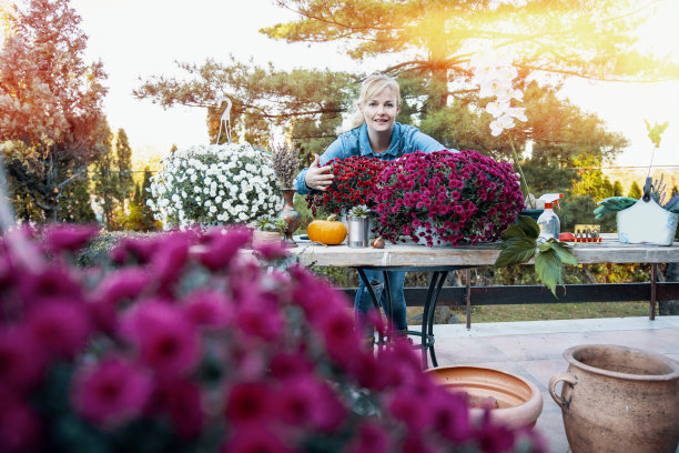 和我的新花一起出售图片下载