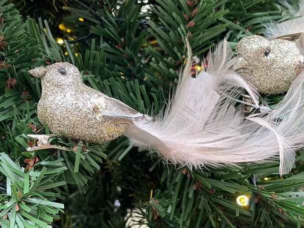特写照片，一群白色闪光雀鸟装饰着长长的尾羽挂在人造圣诞树的树枝上，云杉针，模糊的白色神仙灯的背景图片下载