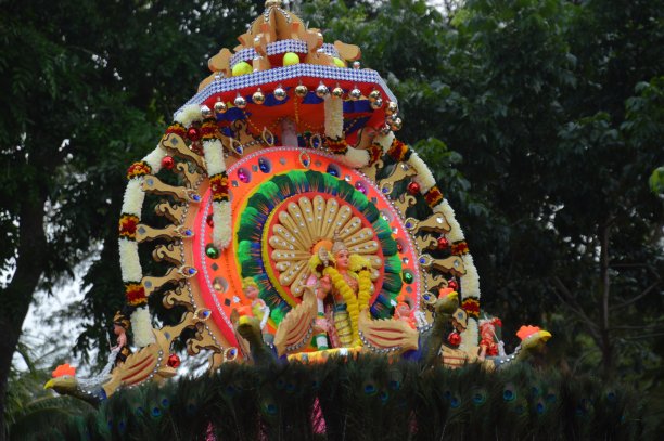 卡瓦迪图片下载