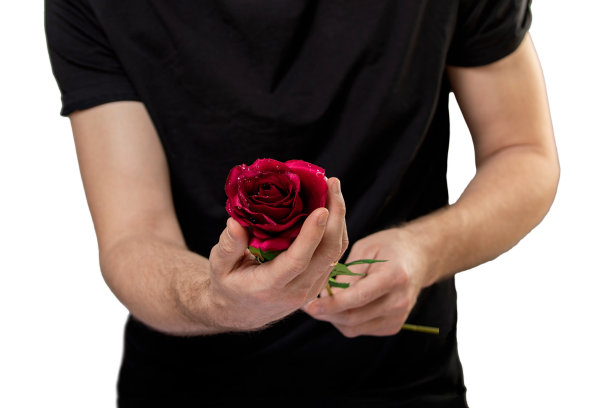 男人手里拿着红玫瑰的特写照片图片下载