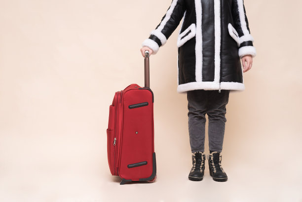 带红箱子的女人图片下载