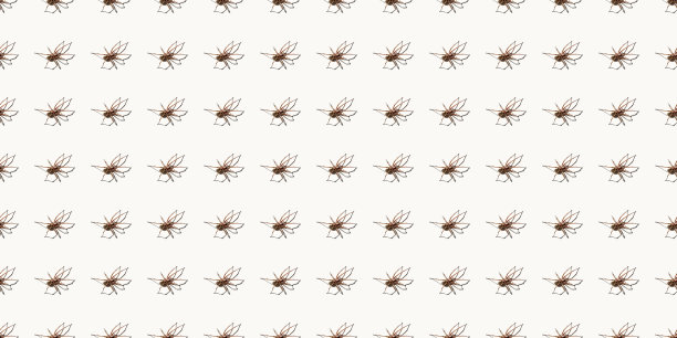 无缝图案与大蜘蛛孤立在白色背景。国内大蜘蛛的代表。害怕或者蜘蛛恐惧症。8条腿。副本的空间。工作室的照片。花形艺术理念图片下载