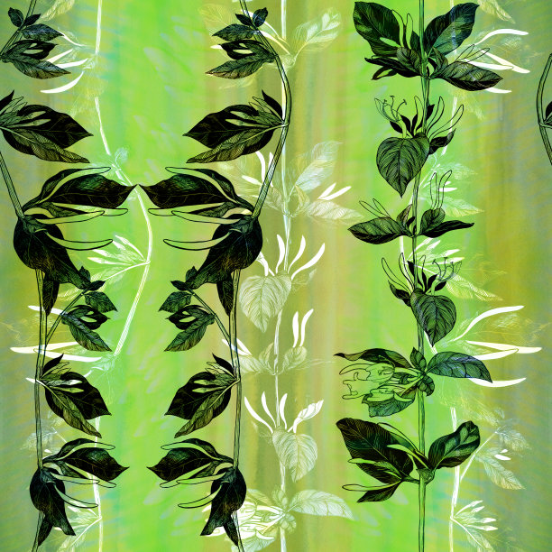 金银花。树枝上有花和芽。花园的花。无缝的图案在水彩背景。使用印刷材料，标志，海报，明信片，包装。图片下载