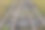这张照片是一条木铁轨和绿色的草地。火车与交通概念图片下载
