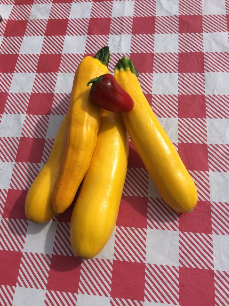 夏天收获图片下载