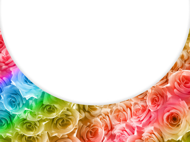 白色半圆上面美丽的玫瑰花背景，自然，设计，模板图片下载