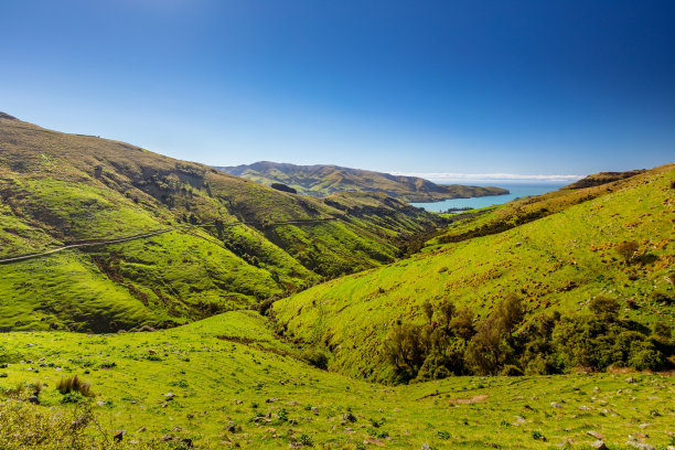 在利维和普里港附近的山谷，新西兰奥特亚罗，春天，白天图片下载
