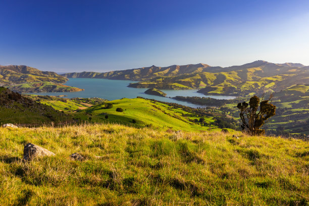 阿卡罗亚港，新西兰奥特亚罗亚，春天，白天图片下载