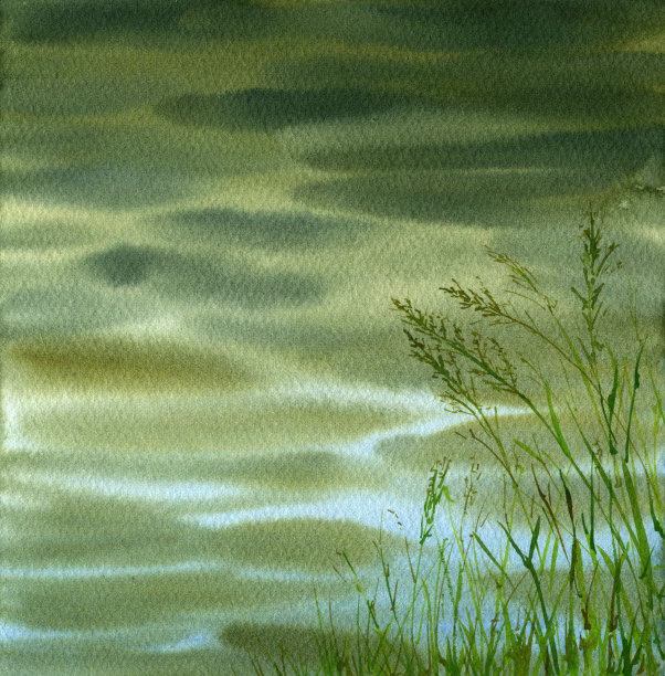 江水绿草图片下载