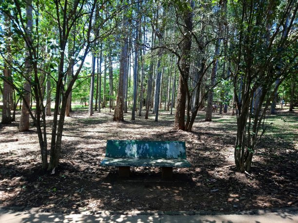 Vila Prudente生态公园图片下载