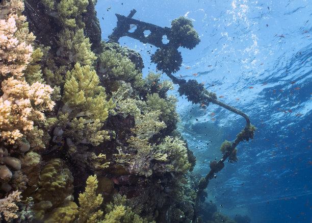 埃及红海珊瑚礁上码头的扭曲残骸图片下载
