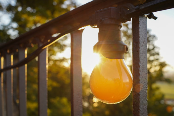 篱笆上的黄色灯泡图片下载