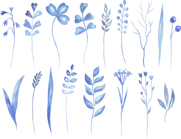 蓝草。一套水彩插图。 冬天的元素图片下载