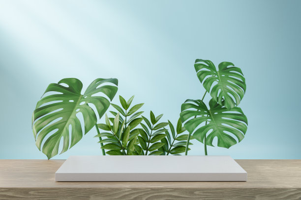 化妆品陈列架，白色木条上，绿叶背景。3 d渲染图图片下载