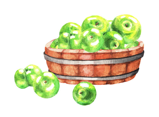 一碗苹果。水彩图片下载