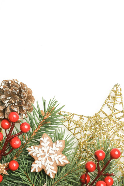 圣诞装饰。圣诞树的树枝和装饰物与散景灯隔离在白色背景与复制空间。图片下载