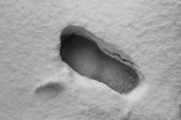 12月雪地上孤立的脚印图片下载