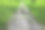 公园里一条破旧的木道，木板不见了，木板之间种着绿色的小植物。照片的角度图片下载