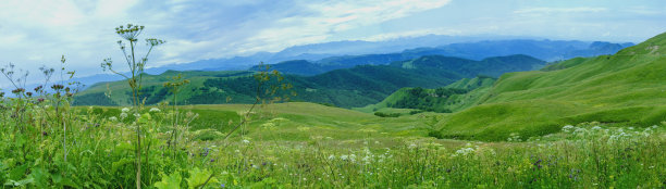 全景山景，北奥塞梯，俄罗斯。密不透风的岩石，雄伟的山脉和森林。图片下载