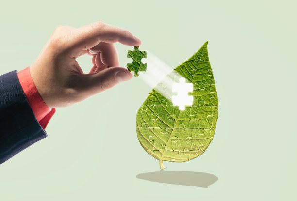 环境保护的概念。图片下载