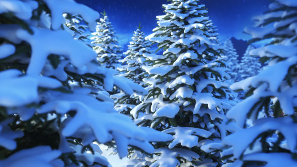 大雪覆盖了冬天的森林。树枝在雪中。夜晚的神奇森林，蓝色的天空，星星和明亮的月亮。景深。三维渲染图片下载